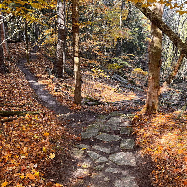 Evergreen Park mountain bike trail Sheboygan