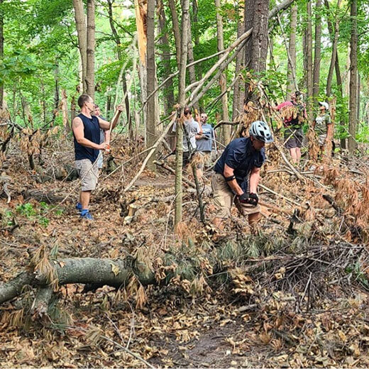 evergreen-park-trail-cleanup-after-wind-storm-2022