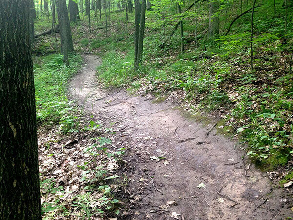 Greenbush Trail System Sheboygan County Cycling