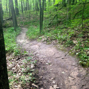 Greenbush mountain bike trail Glenbeulah Wisconsin