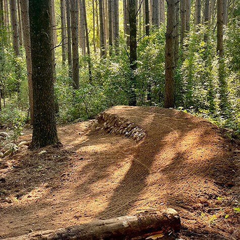 mountain-biking-flow-trail-rock-drop-trailworx