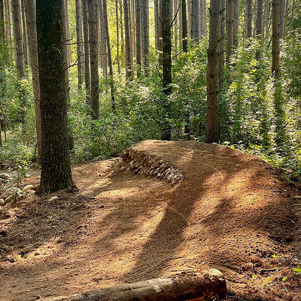 mountain-bike-flow-trail-example-feature mountain-bike-flow-trail-example-feature