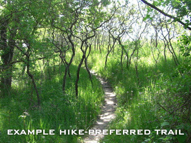 Example hiking preferred trail Sheboygan County Cycling Evergreen Park Trail Improvement Plan